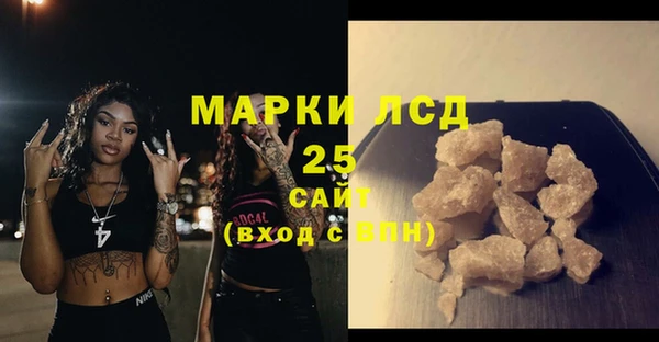ГАЛЛЮЦИНОГЕННЫЕ ГРИБЫ Алексин