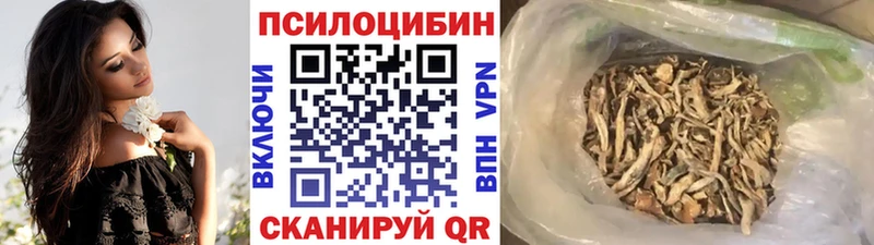 Галлюциногенные грибы Psilocybe  Ноябрьск 